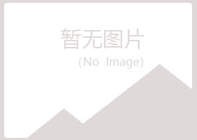 大理字迹能源有限公司